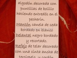 Exposición de indumentaria y costumbres 2009